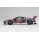 Chevrolet Corvette C8R 4 12 Heures de Sebring 2021 Truescale TS0340