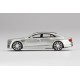 Bentley Flying Spur Breeze Truescale TSM430590
