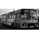Ikarus 260 Postdam Grey IXO PCL47154