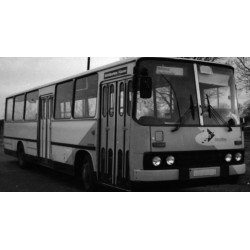 Ikarus 260 Postdam Grey IXO PCL47154