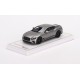 Bentley Continental GT Speed 2022 Light Grey Satin Truescale TSM430683