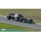 Mercedes AMG F1 W12 E Performance 44 F1 Winner Grand Prix du Brésil 2021 Lewis Hamilton with Flag Minichamps 110212044