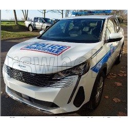 Peugeot 3008 Police Municipale 2023 Norev 473948
