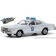Plymouth Fury Sheriff Arkansas Smokey and the Bandit 1975 Silver Greenlight 86581