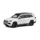 Mercedes Benz&nbsp;GLS X167 AMG 2019 Diamond White Solido S4303903